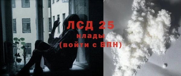 гашик Белокуриха