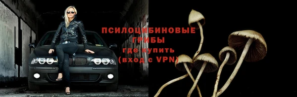гашик Белокуриха