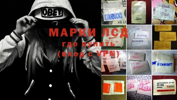 гашик Белокуриха