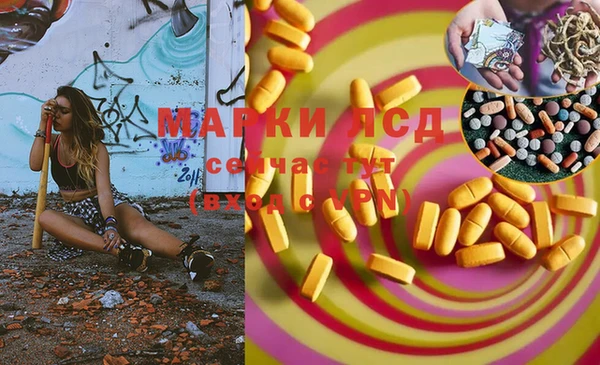 гашик Белокуриха
